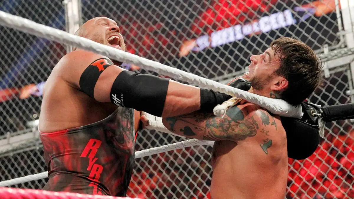 Cm punk ryback hell in a cell 2013